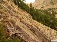 2025-07-27 M. Pelago e Lacs Bessons 232